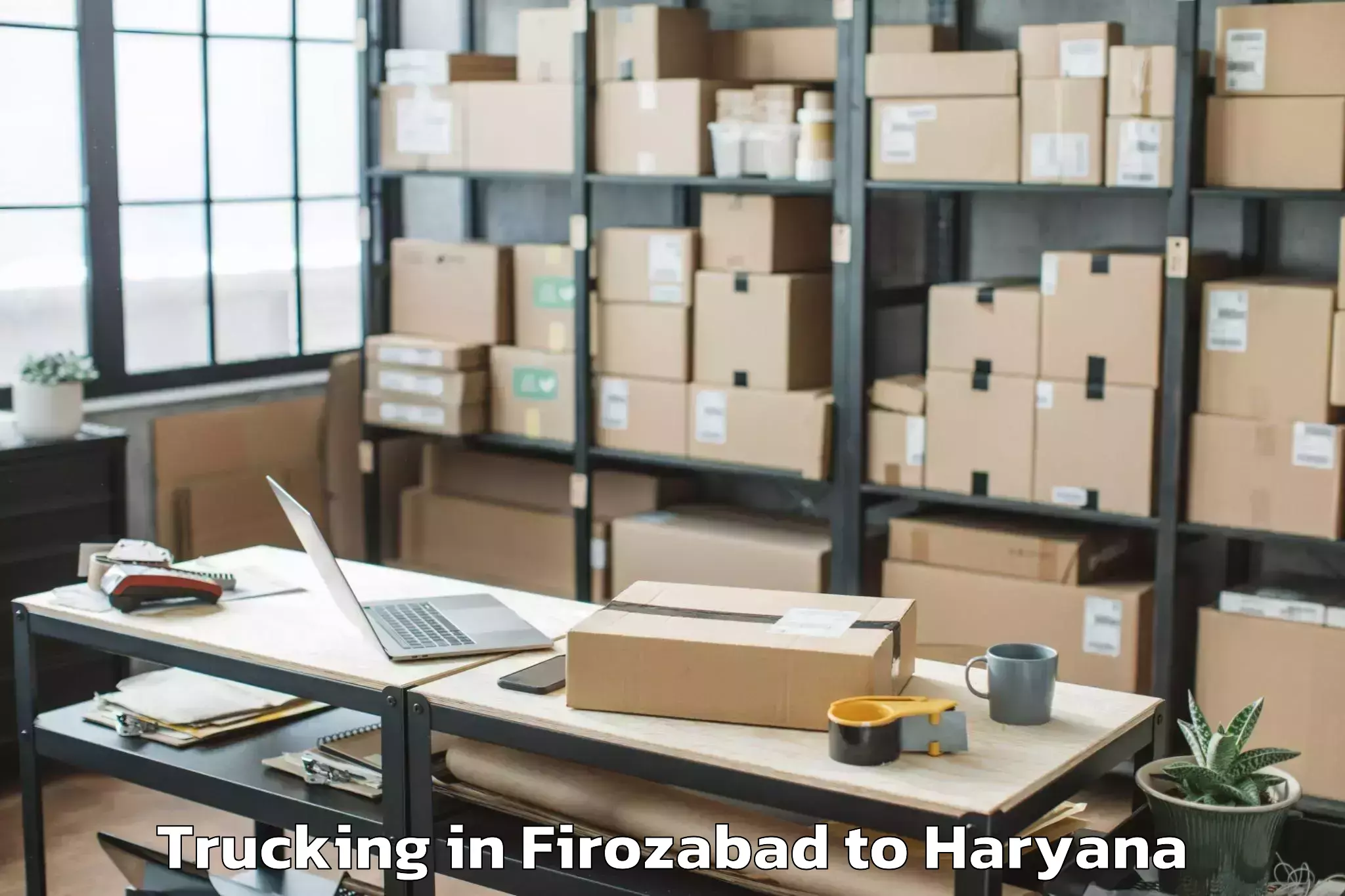 Leading Firozabad to Pinjaur Trucking Provider